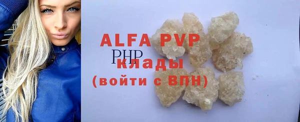 индика Беломорск