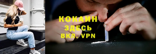 индика Беломорск