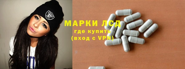 индика Беломорск
