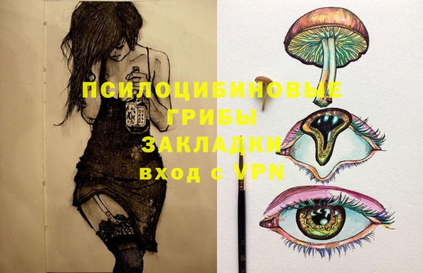 индика Беломорск
