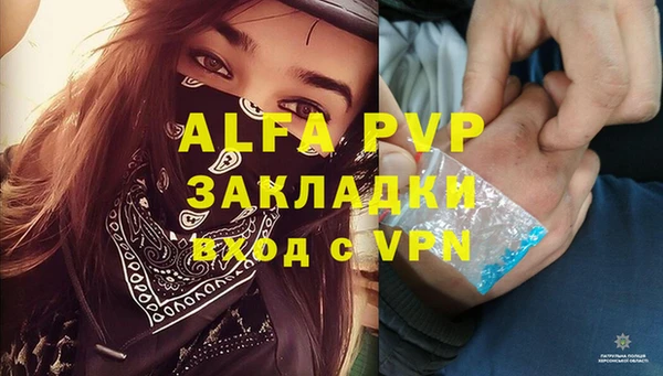 индика Беломорск