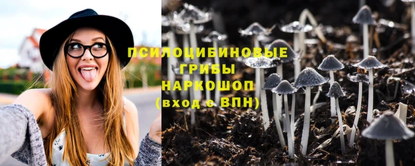 метадон Белокуриха