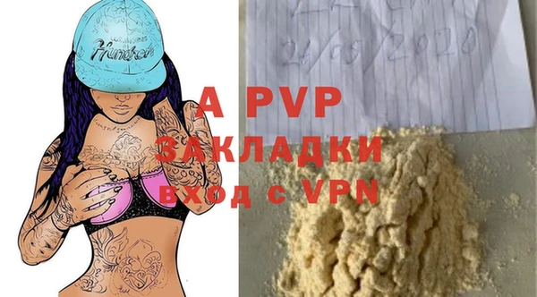 индика Беломорск