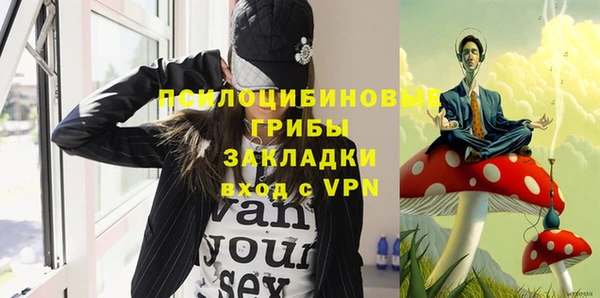 метадон Белокуриха