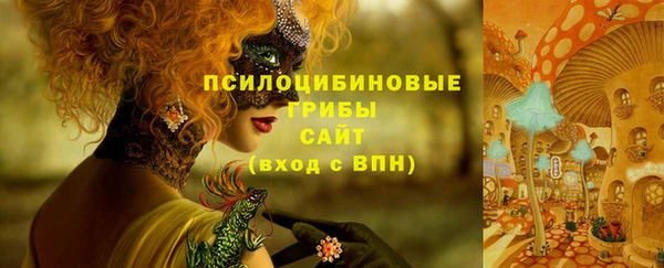 индика Беломорск