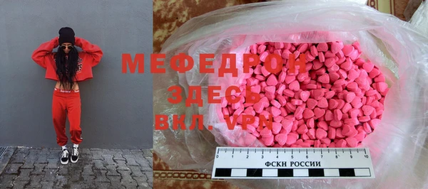 индика Беломорск