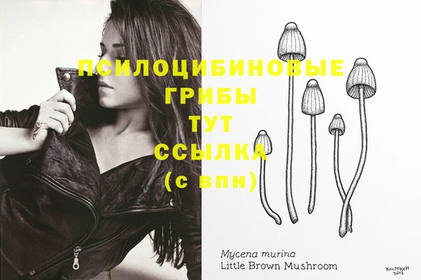 метадон Белокуриха