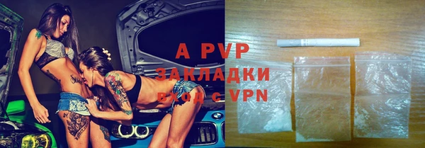 индика Беломорск