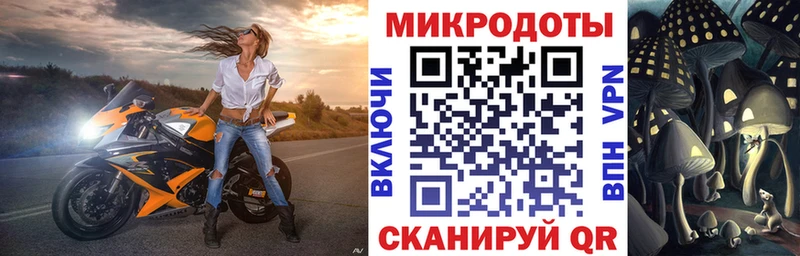 Галлюциногенные грибы Psilocybine cubensis  Купино 